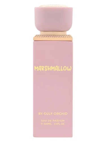 Marshmallow Gulf Orchid
